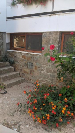 Egeria Houses